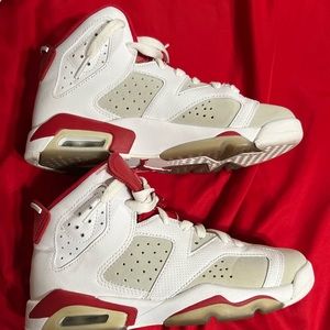 Jordan Retro 6 Alternate Hare